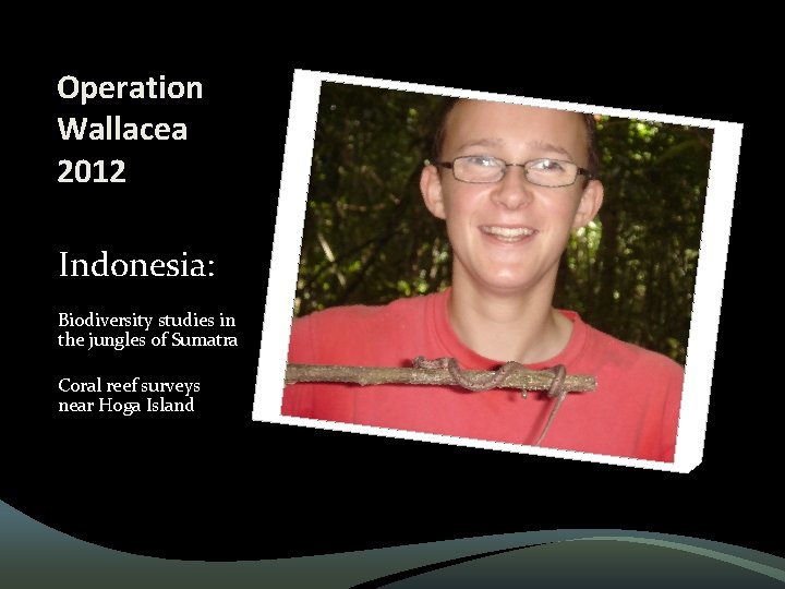 Operation Wallacea 2012 Indonesia: Biodiversity studies in the jungles of Sumatra Coral reef surveys Operation Wallacea 2012 Indonesia: Biodiversity studies in the jungles of Sumatra Coral reef surveys