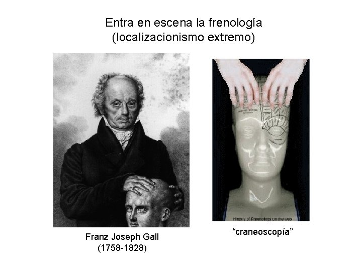 Entra en escena la frenología (localizacionismo extremo) Franz Joseph Gall (1758 -1828) “craneoscopía” 