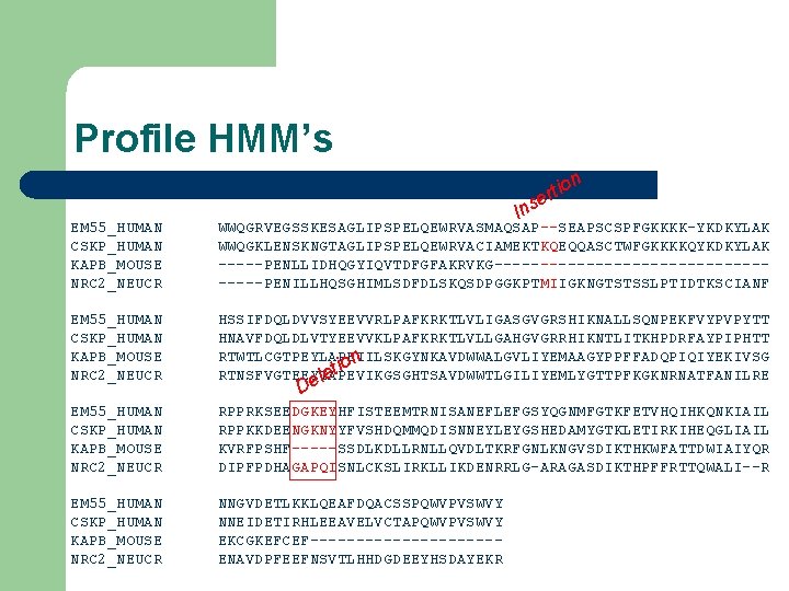 Profile HMM’s n io ert Ins EM 55_HUMAN CSKP_HUMAN KAPB_MOUSE NRC 2_NEUCR WWQGRVEGSSKESAGLIPSPELQEWRVASMAQSAP--SEAPSCSPFGKKKK-YKDKYLAK WWQGKLENSKNGTAGLIPSPELQEWRVACIAMEKTKQEQQASCTWFGKKKKQYKDKYLAK