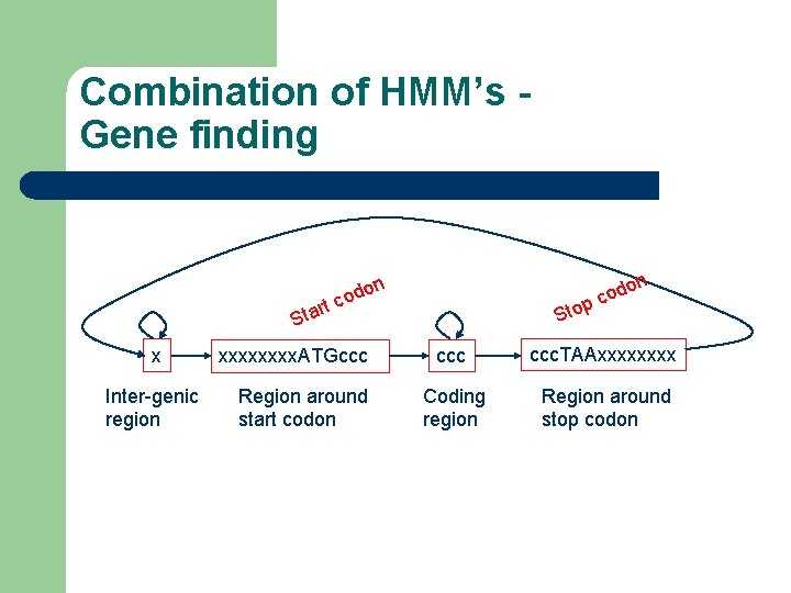 Combination of HMM’s Gene finding rt Sta x Inter-genic region on d o c