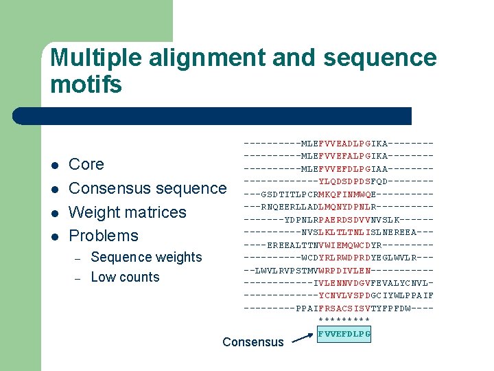 Multiple alignment and sequence motifs l l Core Consensus sequence Weight matrices Problems –