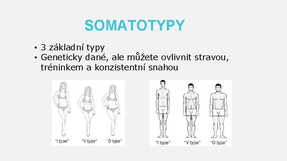 SOMATOTYPY • 3 základní typy • Geneticky dané, ale můžete ovlivnit stravou, tréninkem a