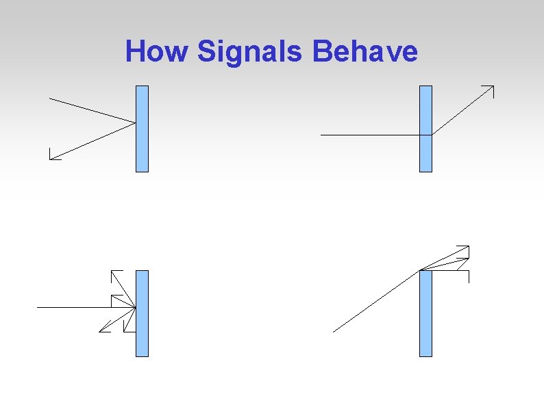 How Signals Behave 