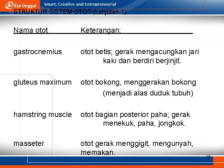 STRUKTUR SISTEM OTOT (Lanjutan-1) Nama otot Keterangan: gastrocnemius otot betis; gerak mengacungkan jari kaki