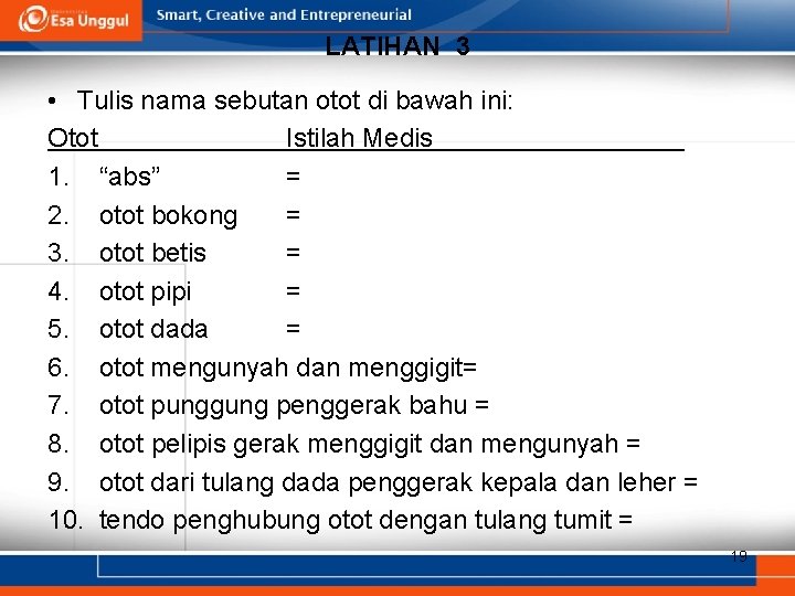 LATIHAN 3 • Tulis nama sebutan otot di bawah ini: Otot Istilah Medis 1.