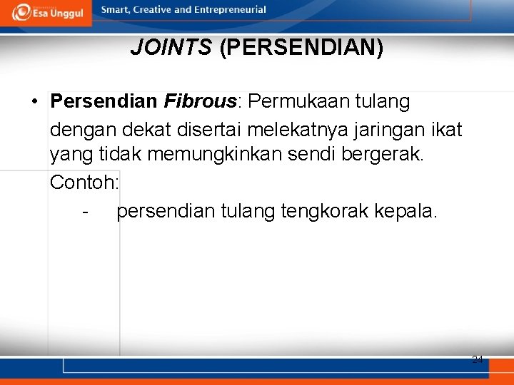 JOINTS (PERSENDIAN) • Persendian Fibrous: Permukaan tulang dengan dekat disertai melekatnya jaringan ikat yang