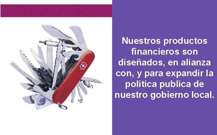 Nuestros productos financieros son diseñados, en alianza con, y para expandir la politica publica