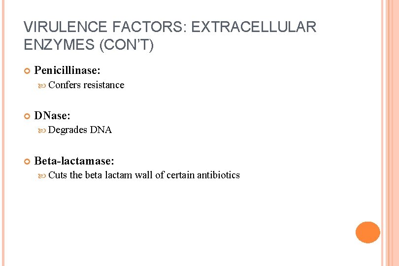VIRULENCE FACTORS: EXTRACELLULAR ENZYMES (CON’T) Penicillinase: Confers resistance DNase: Degrades DNA Beta-lactamase: Cuts the