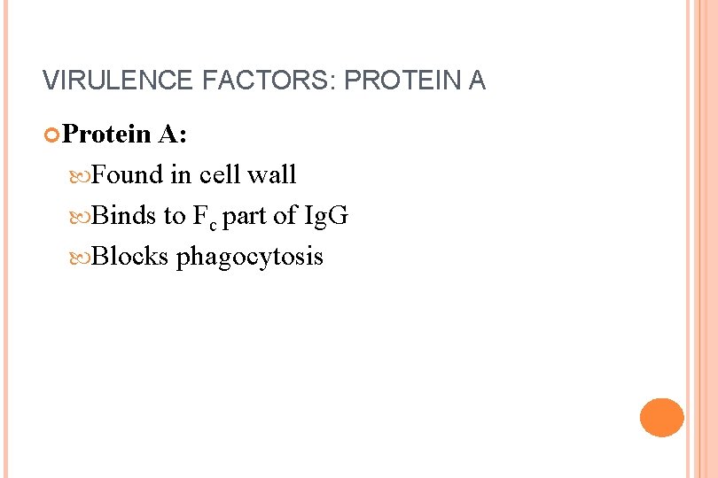 VIRULENCE FACTORS: PROTEIN A Protein A: Found in cell wall Binds to Fc part