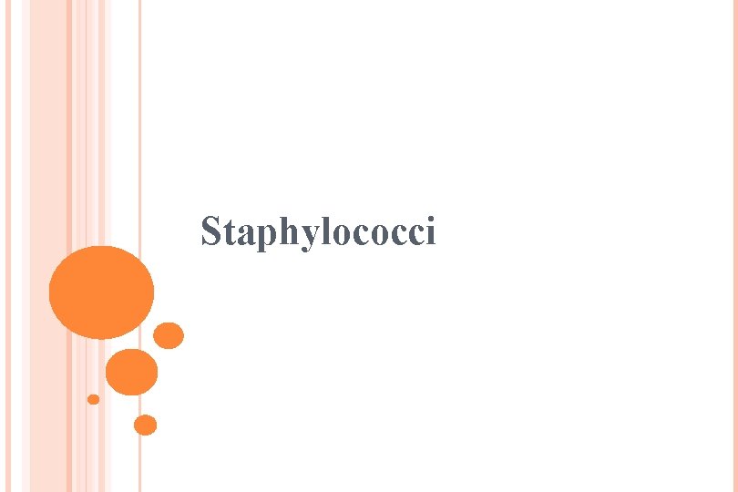 Staphylococci 
