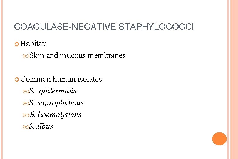 COAGULASE-NEGATIVE STAPHYLOCOCCI Habitat: Skin and mucous membranes Common human isolates S. epidermidis S. saprophyticus