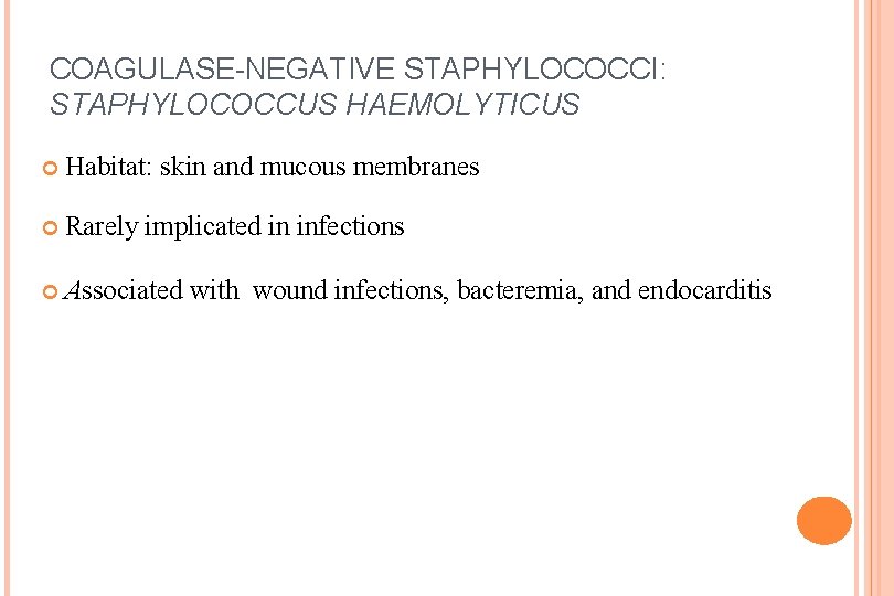 COAGULASE-NEGATIVE STAPHYLOCOCCI: STAPHYLOCOCCUS HAEMOLYTICUS Habitat: skin and mucous membranes Rarely implicated in infections Associated