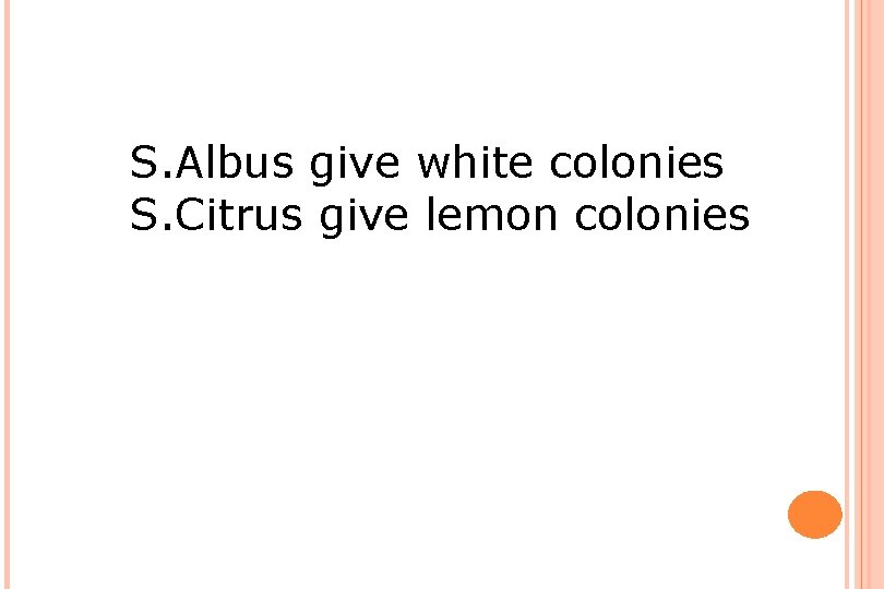 S. Albus give white colonies S. Citrus give lemon colonies 