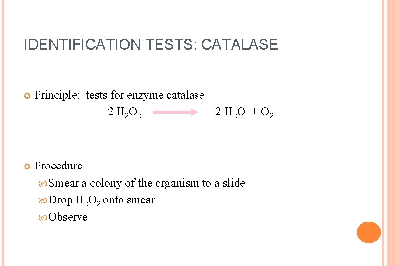 IDENTIFICATION TESTS: CATALASE Principle: tests for enzyme catalase 2 H 2 O 2 2