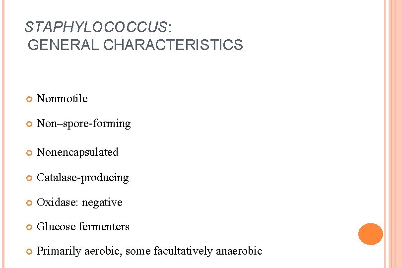 STAPHYLOCOCCUS: GENERAL CHARACTERISTICS Nonmotile Non–spore-forming Nonencapsulated Catalase-producing Oxidase: negative Glucose fermenters Primarily aerobic, some