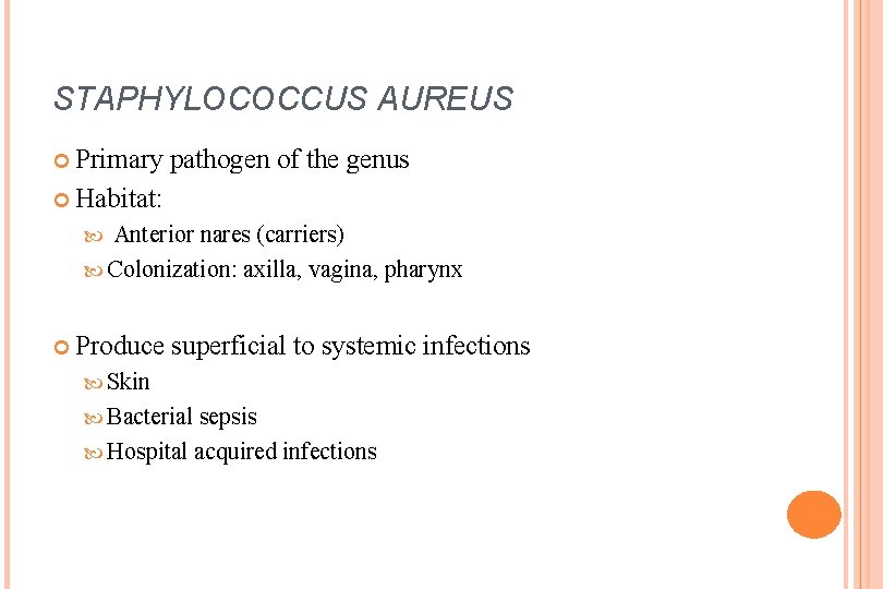 STAPHYLOCOCCUS AUREUS Primary pathogen of the genus Habitat: Anterior nares (carriers) Colonization: axilla, vagina,