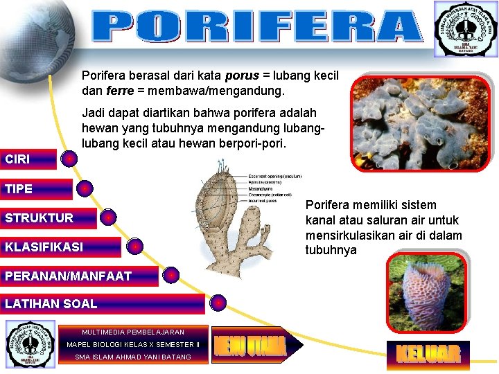 Porifera berasal dari kata porus = lubang kecil dan ferre = membawa/mengandung. Jadi dapat
