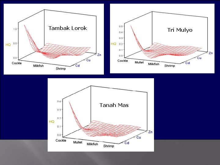 Tambak Lorok Tri Mulyo Tanah Mas 