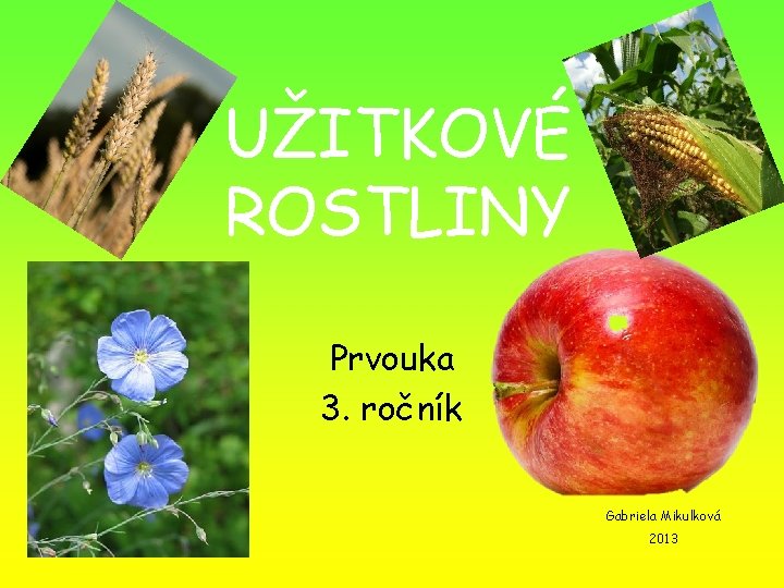 UŽITKOVÉ ROSTLINY Prvouka 3. ročník Gabriela Mikulková 2013 