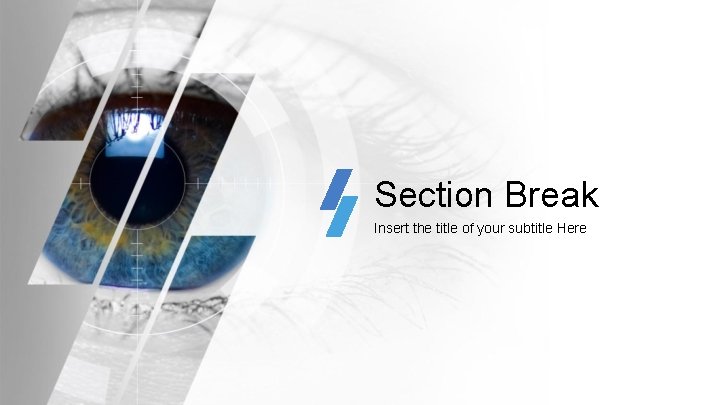 Section Break Insert the title of your subtitle Here 