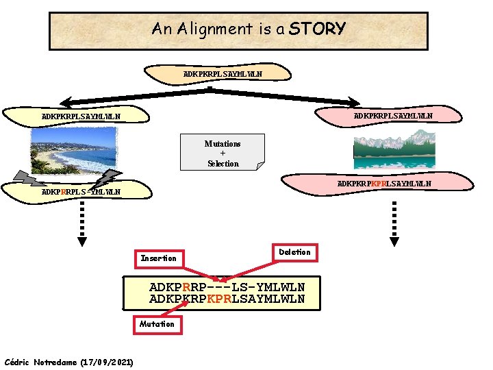 An Alignment is a STORY ADKPKRPLSAYMLWLN Mutations + Selection ADKPKRPKPRLSAYMLWLN ADKPRRPLS-YMLWLN Insertion Deletion ADKPRRP---LS-YMLWLN