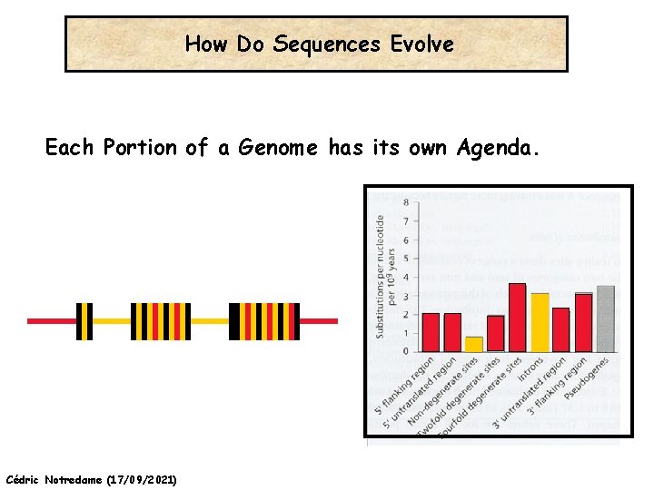 How Do Sequences Evolve Each Portion of a Genome has its own Agenda. Cédric