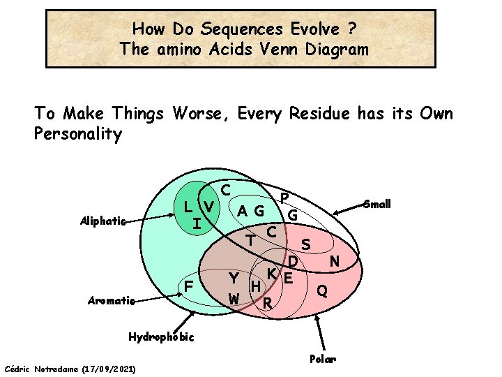 How Do Sequences Evolve ? The amino Acids Venn Diagram To Make Things Worse,