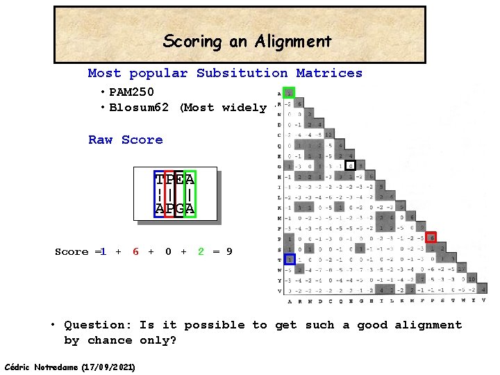 Scoring an Alignment Most popular Subsitution Matrices • PAM 250 • Blosum 62 (Most