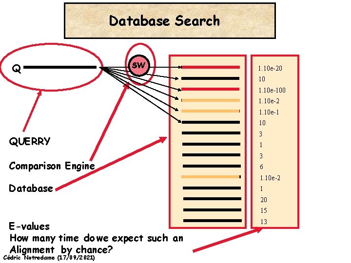 Database Search Q SW 1. 10 e-20 10 1. 10 e-100 1. 10 e-2