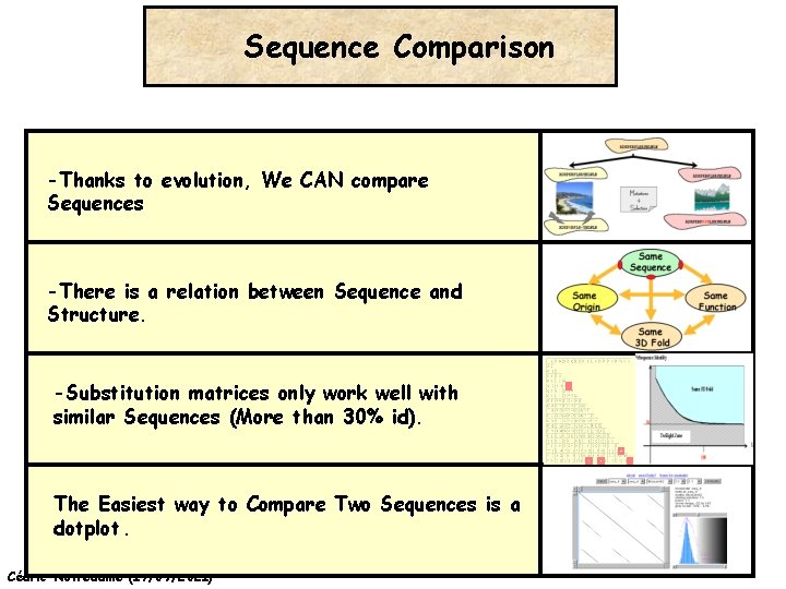 Sequence Comparison -Thanks to evolution, We CAN compare Sequences -There is a relation between