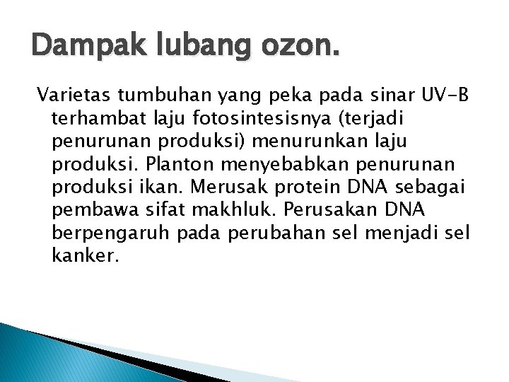 Dampak lubang ozon. Varietas tumbuhan yang peka pada sinar UV-B terhambat laju fotosintesisnya (terjadi