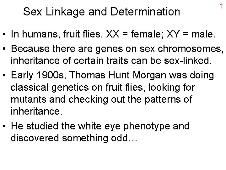 Sex Linkage and Determination 1 • In humans, fruit flies, XX = female; XY