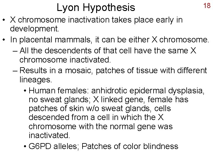 Lyon Hypothesis 18 • X chromosome inactivation takes place early in development. • In