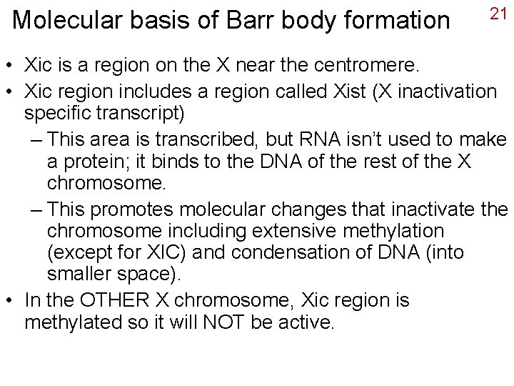 Molecular basis of Barr body formation 21 • Xic is a region on the