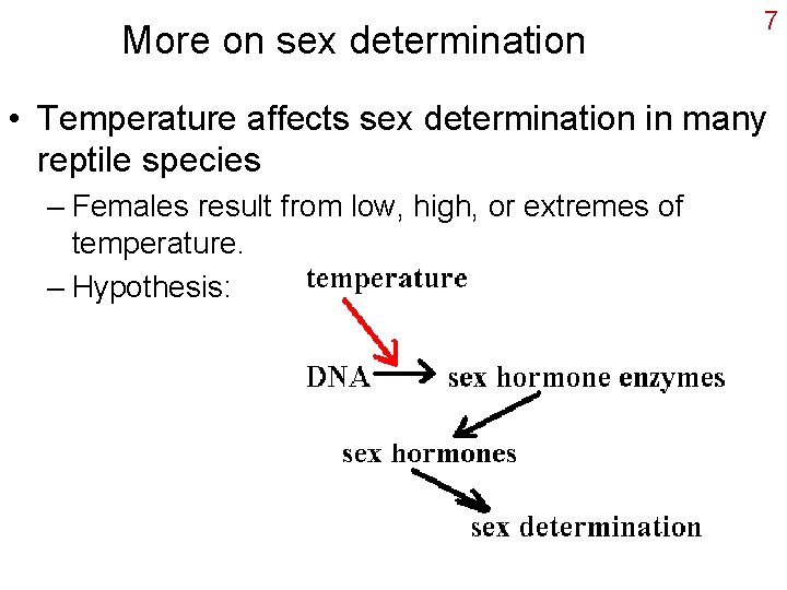 More on sex determination 7 • Temperature affects sex determination in many reptile species