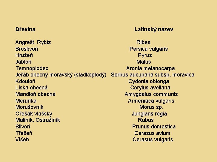 Dřevina Latinský název Angrešt, Rybíz Ribes Broskvoň Persica vulgaris Hrušeň Pyrus Jabloň Malus Temnoplodec