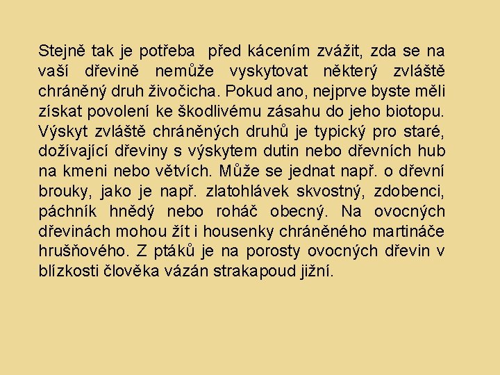 Stejně tak je potřeba před kácením zvážit, zda se na vaší dřevině nemůže vyskytovat