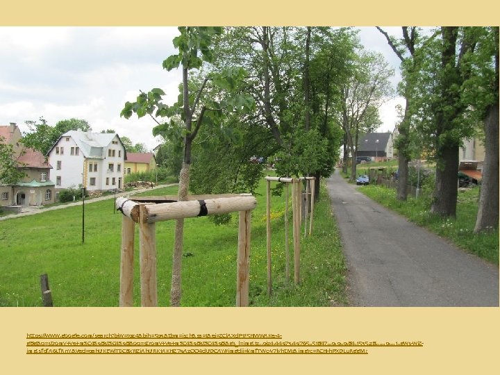 https: //www. google. com/search? biw=1024&bih=503&tbm=isch&sa=1&ei=ZCl. AXd. P 1 F 5 HWw. AKe-4 g. Bg&q=stromy+ve+m%C