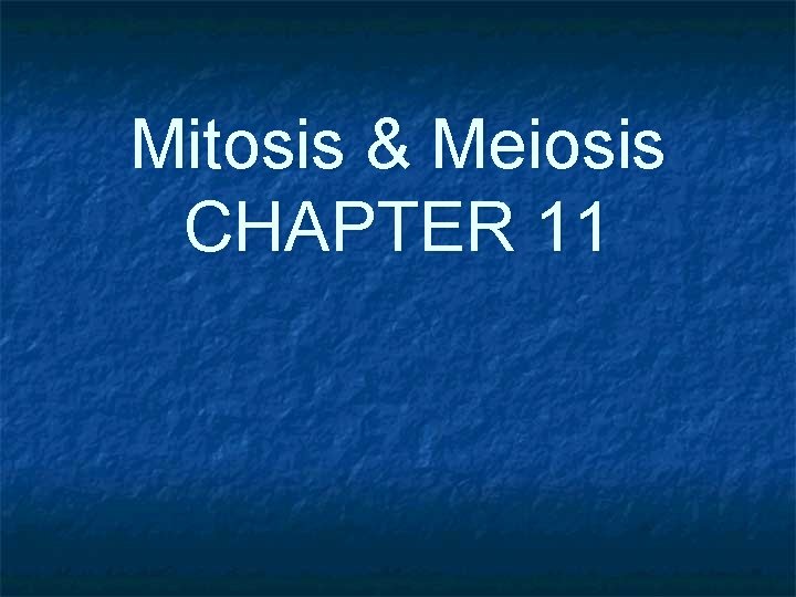 Mitosis & Meiosis CHAPTER 11 