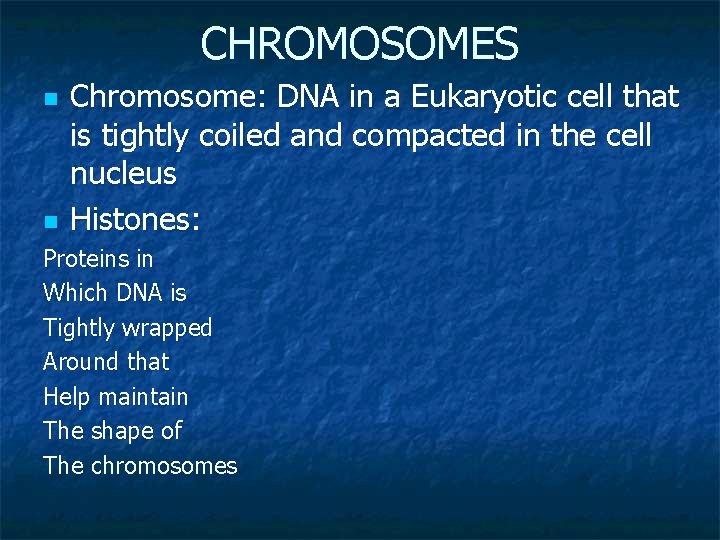 CHROMOSOMES n n Chromosome: DNA in a Eukaryotic cell that is tightly coiled and