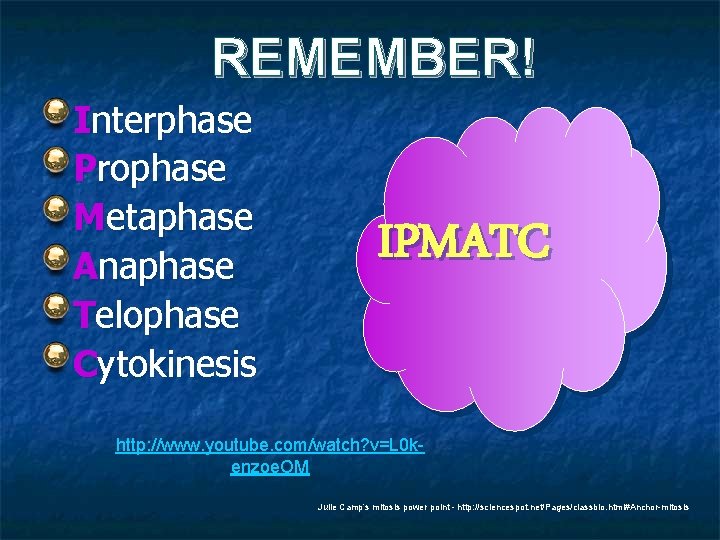 REMEMBER! Interphase Prophase Metaphase Anaphase Telophase Cytokinesis IPMATC http: //www. youtube. com/watch? v=L 0