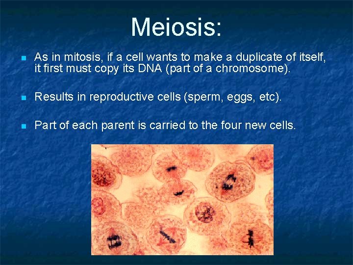 Meiosis: n As in mitosis, if a cell wants to make a duplicate of