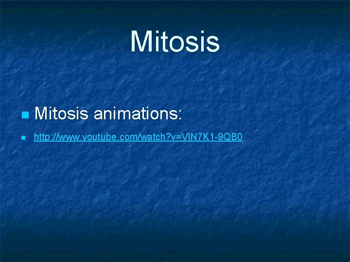 Mitosis n Mitosis animations: n http: //www. youtube. com/watch? v=Vl. N 7 K 1
