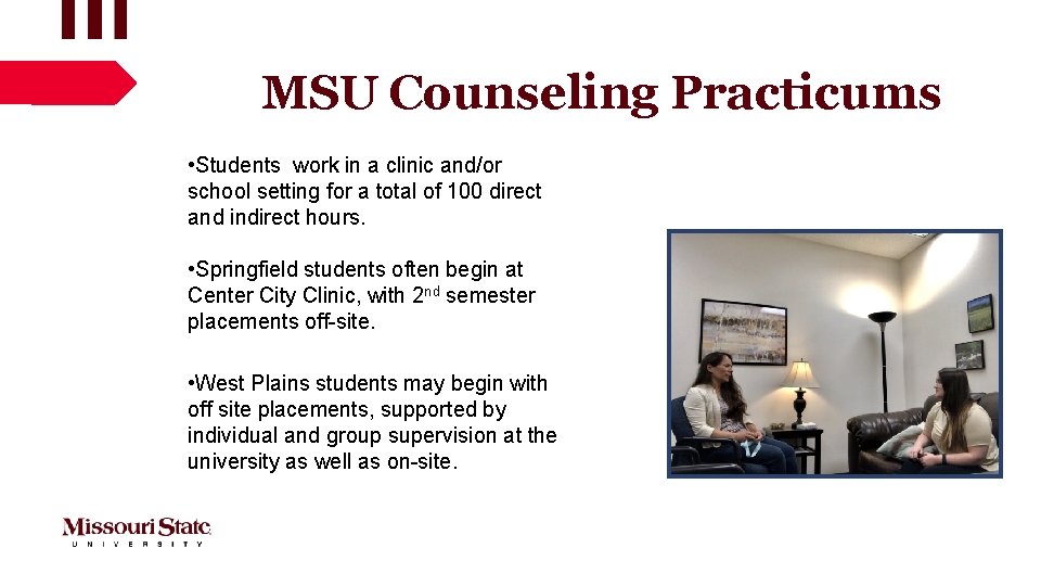 MSU Counseling Practicums • Students work in a clinic and/or school setting for a