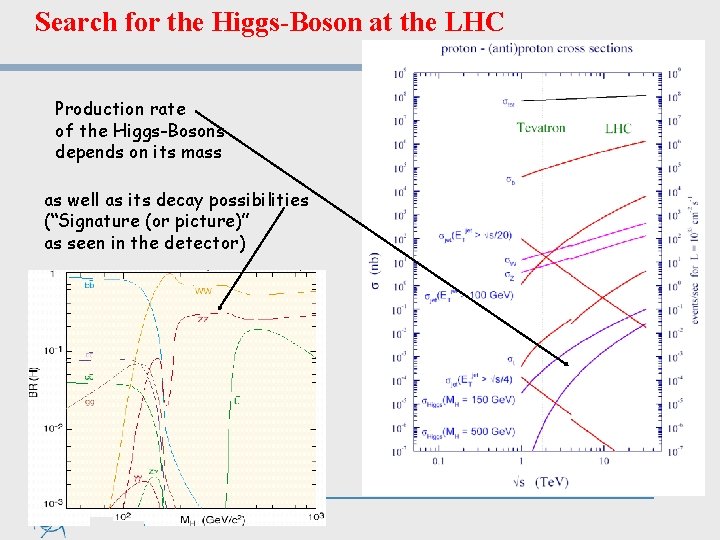 Search for the Higgs-Boson at the LHC Production rate of the Higgs-Bosons depends on