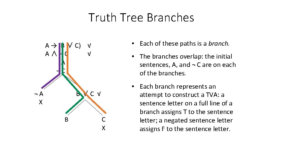 Truth Tree Branches • Each of these paths is a branch. A → (B