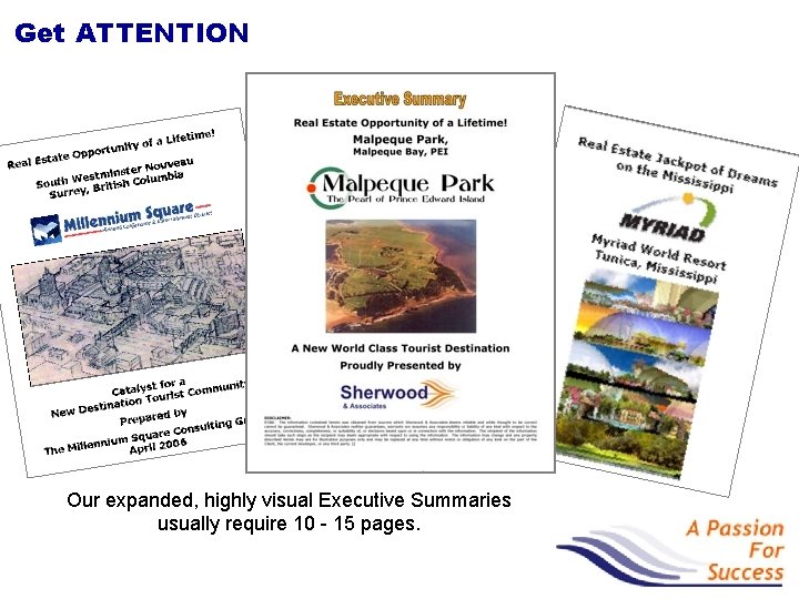 Get ATTENTION Our expanded, highly visual Executive Summaries usually require 10 - 15 pages.