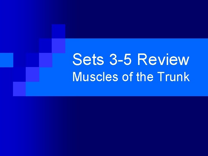 Sets 3 -5 Review Muscles of the Trunk Sets 3 -5 Review Muscles of the Trunk