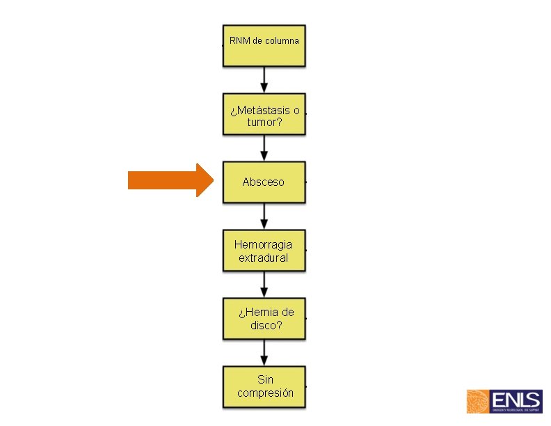 RNM de columna ¿Metástasis o tumor? Absceso Hemorragia extradural ¿Hernia de disco? Sin compresión