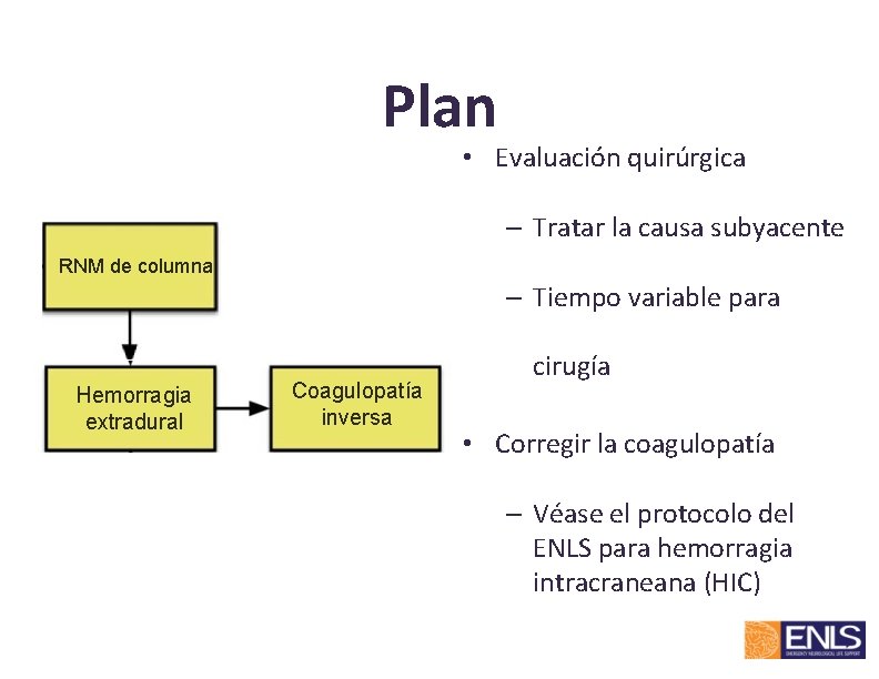 Plan • Evaluación quirúrgica – Tratar la causa subyacente RNM de columna – Tiempo